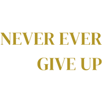 Never Ever Give Up Book